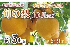 【 先行予約 】 【 2025年 10月発送 】 梨 旬の梨 約 5kg 幸水 豊水 あきづき にっこり 等 約 5 ～ 9玉 梨 なし 旬 千葉 千葉県産 みずみずしい 糖度 甘み 甘い くだもの 果物 フルーツ ふるさと納税 産地 産地直送 送料無料 千葉県 旭市 旭市産 まる吉園 mkn006