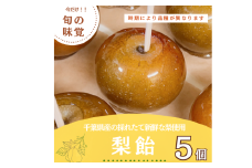 梨 飴 5個 なし ナシ 梨飴 なし飴 ナシ飴 フルーツ 果物 くだもの 旬 旬のフルーツ 旬の果物 旬のくだもの 新鮮 デザート スイーツ 千葉県産 フルーツアメ アメ あめ プレゼント 贈答 贈り物 母の日 父の日 お祝い Ｃｒｅｐｐｙ７ 千葉県 旭市 cps002
