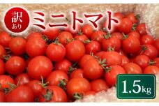 訳あり ミニトマト 1.5kg 冷蔵配送 2025年10月発送 トマト 旬 新鮮 野菜 やさい 夏野菜 とまと 簡易包装 箱入り ご褒美 サラダ トマトジュース パスタ お弁当 ジューシー 送料無料 産地直送 千葉県 旭市 石井ファーム iif005