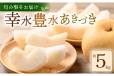 【 数量限定 】 先行予約 梨 約 5kg 12～16玉 幸水 豊水 あきづき 旬 品種おまかせ 2025年 8月～ 9月発送 予定 くだもの 果物 フルーツ なし ナシ デザート 幸水梨 豊水梨 産地直送 送料無料 千葉 ふるさと納税 千葉県 旭市 ヤマセ梨園 yms001