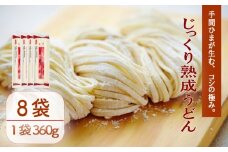 じっくり熟成うどん 360g×8袋 うどん 麺  乾麺 備蓄 手軽 簡単 保存食 小麦粉 こむぎこ 巻取り熟成製法 製法 熟成 歯ごたえ コシ こだわり アレンジ 旨み 美味しい 巻取り熟成製法 うどん麺 ご当地 グルメ 麺類 常温 千葉県 旭市 大新食品株式会社 dss038