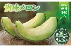 【 2026年 先行予約 】 貴味 メロン 約 3kg以上 青肉 （ 4L × 2玉 ） めろん melon 甘いメロン タカミメロン 国産 産地直送 甘い おすすめ 人気 旬 果物 くだもの フルーツ ご褒美 お取り寄せ 季節限定 期間限定 数量限定 千葉県 旭市 株式会社勘兵衛 knb001_X1