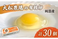 卵 純国産 大松農場の有精卵 計 30個  養鶏 平飼 鶏卵 卵 有精卵 たまご 鶏卵 にわとり 新鮮 こだわり 朝食 昼食 夕食 目玉焼き 卵焼き 玉子焼き たまご焼き 卵かけご飯 たまごかけご飯 生卵 国産 産地直送 安心 安全 破損保証 割れ保証 送料無料 千葉県 旭市 大松農場 omf005