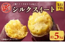 【先行予約】 訳あり シルクスイート 約 5kg さつまいも 2025年 11月以降順次発送予定 土付き さつま芋 さつまイモ 野菜  産地直送 国産 千葉県産 旬 秋 いも サツマイモ 焼きいも 焼き芋 スイートポテト スイーツ 料理 お菓子 新鮮 おすすめ ふるさと納税 千葉県 旭市 向後メロン園 kug005