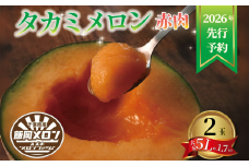 ＜2026年先行予約＞ メロン 飯岡 赤肉メロン 大玉 2玉 2玉入り 大玉 赤肉 5L 約1.7kg 2玉入  先行予約 タカミレッド フルーツ 果物 くだもの プレゼント 贈答 ギフト デザート スイーツ おやつ 青果 お祝い お礼 母の日 父の日 誕生日 甘い 糖度 九十九里 千葉 千葉県 旭市 スズキメロンファーム smf003