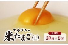 【 定期便 6回 】マルゲンの米たまご Lサイズ 50個 卵 たまご 鶏卵 にわとり 新鮮 こだわり 朝食 昼食 夕食 目玉焼き 卵焼き 玉子焼き たまご焼き 卵かけご飯 たまごかけご飯 オムレツ ゆで卵 卵料理 生卵 国産 産地直送 安心 安全 破損保証 割れ保証 千葉県 旭市 有限会社マルゲン mrg007