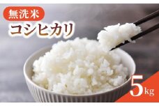 無洗米 米 コシヒカリ 5kg 令和7年産 新米 精米 白米 2025 7年産 お米 ご飯 無洗 むせんまい こめ コメ kome おこめ ごはん ライス こしひかり 家庭用 備蓄 防災 お弁当 産地直送 送料無料 国産 千葉県産 ふるさと納税 千葉 千葉県 旭市 BANJYO farm bnj001