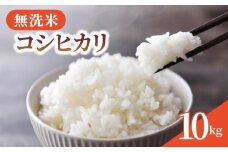 無洗米 米 コシヒカリ 10kg 令和7年産 新米 精米 白米 2025 7年産 お米 ご飯 無洗 むせんまい こめ コメ kome おこめ ごはん ライス こしひかり 家庭用 備蓄 防災 お弁当 産地直送 送料無料 国産 千葉県産 ふるさと納税 千葉 千葉県 旭市 BANJYO farm bnj002