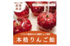 本格 りんご飴 5個 セット 高級 フルーツ 果物 贈答 ギフト プレゼント こだわり リンゴ 林檎 スイーツ お菓子 菓子 おやつ おつまみ 晩酌 デザート 飴 フルーツ飴 林檎飴  本格りんご飴 厳選 リンゴアメ フルーツアメ 母の日 父の日 お祝い 千葉県 旭市 cps001_X1