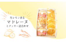 生レモン香るマドレーヌ（5個）＆クッキー2種（10枚＋1袋）詰め合わせ