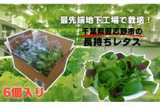 ＼地下工場から生まれた／水耕栽培の長持ち新鮮レタス！2種詰め合わせ（計6個）