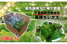 【3か月定期便】＼地下工場から生まれた／水耕栽培の長持ち新鮮レタス！2種詰め合わせ（計6個×3か月）