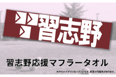 習志野応援マフラータオル
