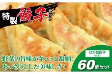 にんにく不使用！　ばか旨餃子　60個 〈 にんにくなし 餃子 冷凍餃子 セット 冷凍食品 人気 美味しい 老舗 有名店 パーティ おすすめ おいしい 手作り ギョーザ ぎょうざ 焼き餃子 野菜 おかず 総菜 おつまみ 中華 大量 〉