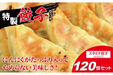 にんにくたっぷり！スタミナ餃子　120個 〈 餃子 冷凍餃子 セット 冷凍食品 人気 美味しい 老舗 有名店 ニンニク パーティ おすすめ おいしい 手作り ギョーザ ぎょうざ 焼き餃子 野菜 おかず 総菜 おつまみ 中華 大量 〉