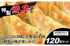 特製！手作り餃子セット（スタミナ餃子60個＋ばか旨餃子60個） 〈 餃子 冷凍餃子 セット 冷凍食品 人気 美味しい 老舗 有名店  パーティ おすすめ おいしい 手作り ギョーザ ぎょうざ 焼き餃子 野菜 おかず 総菜 おつまみ 中華 大量 〉