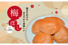 味姫ミニ300ｇ×4個セット 〈 梅干し 紀州 南高梅 味姫 国産 うめぼし 小分け 減塩 まろやか 梅干専門店 白干し 美味しい おいしい お弁当 おにぎり プレゼント ギフト お歳暮 お中元 誕生日 母の日 父の日 取り寄せ おすすめ 人気  グルメ 〉