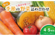 【柏産】季節の野菜詰め合わせBOX 〈 セット 野菜セット 旬 国産 千葉県産 柏市産 おいしい おまかせ 新鮮野菜 一人暮らし 父の日 母の日 プレゼント 贈り物 お取り寄せ 取り寄せ おススメ 産地直送 〉