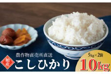 コシヒカリ10kg 〈 2024年産 米 お米 新米 コシヒカリ 白米 ご飯 ごはん 国産 柏産 精米 こしひかり 国産 おすすめ エコファーマー 一人暮らし 〉