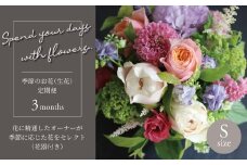 【毎月お届け】季節のお花（生花・花器付き）の定期便・Sサイズ　3か月 〈 フラワーアレンジメント 花 定期便  記念日 誕生日 お祝い ギフト プレゼント インテリア 自宅用 全国発送 送料無料 冷蔵 そのまま飾れる かわいい ※お届け日指定不可  〉
