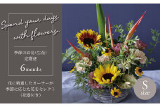 【毎月お届け】季節のお花（生花・花器付き）の定期便・Sサイズ　6か月 〈 フラワーアレンジメント 花 定期便  記念日 誕生日 お祝い ギフト プレゼント インテリア 自宅用 全国発送 送料無料 冷蔵 そのまま飾れる かわいい ※お届け日指定不可  〉