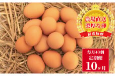 むこたま【農場たまご】Mサイズ　40個　定期便10ヶ月 〈  純国産鶏 新鮮 濃厚 卵 たまご 玉子 もみじ 高品質 美味しい おいしい 産地直送 国産 千葉県産 柏市産 プレゼント ギフト お歳暮 お中元 誕生日 母の日 父の日 取り寄せ おすすめ 人気 卵焼き 卵かけご飯 生卵 〉