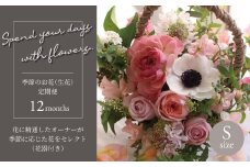 【毎月お届け】季節のお花（生花・花器付き）の定期便・Sサイズ　12か月 〈 フラワーアレンジメント 花 定期便  記念日 誕生日 お祝い ギフト プレゼント インテリア 自宅用 全国発送 送料無料 冷蔵 そのまま飾れる かわいい ※お届け日指定不可  〉