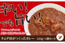「無添加やがちゃんキムチ」キムチ屋のカレー 〈  カレー 冷凍食品 冷凍 辛 国産 鶏 玉ねぎ 自家製 ヤンニョム スパイシー ニンニク 美味しい こだわり 人気 おすすめ ギフト 〉