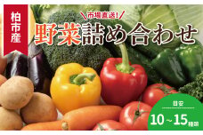 柏市場直送野菜詰め合わせセット 〈 新鮮 旬 野菜セット 国産 千葉県産 柏市産 おいしい おまかせ 一人暮らし 父の日 母の日 プレゼント 贈り物 お取り寄せ 取り寄せ おすすめ おススメ 大量 産地直送 〉