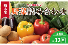 【12ヶ月定期便】柏市場直送野菜詰め合わせセット 〈 12回 1年 新鮮 旬 野菜セット 国産 千葉県産 柏市産 おいしい おまかせ 一人暮らし 父の日 母の日 プレゼント 贈り物 お取り寄せ 取り寄せ おすすめ おススメ 大量 産地直送 〉