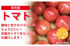 柏市場直送トマト　4.5kgセット 〈 野菜 美味しい おいしい 大玉 中玉 旬 国産 千葉県産 柏市産 トマトソース サラダ プレゼント 贈り物 お取り寄せ 取り寄せ おすすめ おススメ 大量 産地直送 〉
