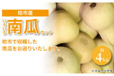 柏市場直送夏のいろいろ南瓜セット 〈先行予約 2025年8月順次発送〉 〈 かぼちゃ 野菜 国産 旬 南瓜 カボチャ パンプキン 大量 千葉県産 柏市産 予約 おいしい プレゼント 贈り物 取り寄せ おすすめ バターナッツ コリンキー 坊っちゃん南瓜 黒南瓜 プッチーニ 大量 産地直送 〉