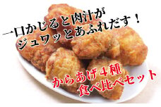 レンジで簡単！職人仕込みの濃厚肉汁からあげ4種　食べ比べセット 〈 時短  鶏もも とりもも 鶏モモ 鶏むね 鶏ムネ とりむね 鶏肉 唐揚 唐揚げ から揚げ 冷凍食品 総菜 お総菜 人気 簡単調理 お弁当 おかず 夕食 〉