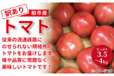 柏市産 訳ありトマト　3.5kg～4kg 〈 大量 野菜 国産 旬 千葉県産 15個~20個 おいしい 新鮮 おすすめ 産地直送 食品 サラダ 加工用 トマトジュース ジュース ピューレ ソース ペースト 〉
