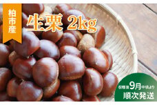 柏市産 栗 2kg 〈 生栗 旬 国産 産地直送 千葉県産 和栗 おいしい 新鮮 秋 おすすめ 大量 果物 フルーツ マロン くり 栗ごはん 栗ご飯 栗きんとん 焼き栗 正月 おせち 季節限定 〉
