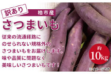 柏市産 訳ありさつまいも　約10kg 〈 詰め合わせ 野菜 国産 千葉県産 旬 おいしい さつま芋 さつまイモ いも サツマイモ 焼きいも 焼き芋 スイートポテト お菓子 秋 新鮮 おすすめ 大量 産地直送 季節限定 〉