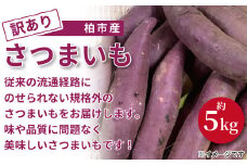 柏市産 訳ありさつまいも　約5kg 〈  詰め合わせ 野菜 国産 千葉県産 旬 おいしい さつま芋 さつまイモ いも サツマイモ 焼きいも 焼き芋 スイートポテト お菓子 秋 新鮮 おすすめ 大量 産地直送 季節限定 〉