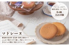 マドレーヌ 5種類 合計20個 〈 個包装 洋菓子 お菓子 詰め合わせ セット スイーツ 焼菓子 おやつ おすすめ プレーン ココア 抹茶 紅茶 パンプキン しっとり ふわふわ 国産小麦粉 よつ葉バター お取り寄せ グルメ 贈り物 ギフト プレゼント 〉