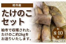 柏市場直送たけの子　2kgセット 〈先行予約 2026年3月順次発送〉 〈 たけのこ 筍 タケノコ 竹の子 野菜 旬 国産 産地直送 千葉県産 柏市産 おいしい おすすめ 大量 予約 料理 煮物 炊き込みご飯 おでん 天ぷら 〉