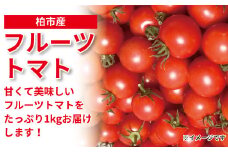 柏市産 フルーツトマト 1kg 〈先行予約 2025年5月順次発送〉 〈 セット 野菜 国産 千葉県産 甘い おいしい 美味しい 新鮮 おすすめ 旬 産地直送 リコピン サラダ 大量 予約 〉