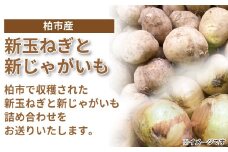 柏市産 新玉ねぎ（約5kg）と新じゃがいも（約5kg）詰め合わせ 〈先行予約 2025年6月順次発送〉 〈 たまねぎ じゃがいも 新玉ねぎ 新じゃが 野菜 詰め合わせ 10kg ジャガイモ 新玉 新じゃがいも ポテト サラダ カレー 旬 国産 産地直送 千葉県産 おいしい おすすめ 大量 夏野菜 予約 〉