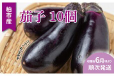 柏市産 やわらか茄子 10個 〈先行予約 2025年6月順次発送〉 〈 なす ナス  野菜 セット 国産 千葉県産 おいしい 美味しい 新鮮 旬 産地直送 おすすめ 夏野菜 煮物 揚げ物 浅漬け 大量 予約 〉