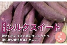柏産 シルクスイート 5kg 〈 セット 野菜 さつま芋 さつまイモ 産地直送 国産 千葉県産 柏市産 旬 おいしい いも サツマイモ 焼きいも 焼き芋 スイートポテト お菓子 秋 新鮮 おすすめ 大量  季節限定 〉