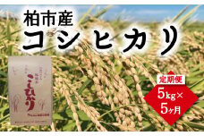 【5ヶ月連続お届け】柏市産コシヒカリ5kg