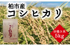 コシヒカリ分搗き米5kg