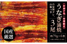 国産うなぎ蒲焼 140g×3尾入 〈 国産 うなぎ 蒲焼 新鮮 美味しい レトルト 鰻 ウナギ セット 自家製タレ 山椒付き 炭火 蒸し 関東風 おすすめ 人気 おいしい 柔らかい 土用 丑の日 ギフト プレゼント 贈り物 贈答 誕生日 父の日 母の日 お歳暮 御歳暮 ご褒美 グルメ 〉