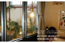 BOTANIC HANGING WIRERING LIGHT S