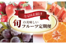 【定期便】柏市産　旬の美味しいフルーツ　全4回 〈 果物 いちご すいか 巨峰 みかん 3か月毎 旬 国産 産地直送 千葉県産 おいしい おすすめ 新鮮 くだもの イチゴ 苺 ぶどう 葡萄 ブドウ 〉