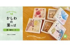 かしわの葉っぱ　〈家〉4個セット