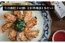 文菜華 ノンメタポーク100％使用の生冷凍餃子40個と文菜華辣油1本のセット 〈 冷凍 餃子 ラー油 辣油 調味料 セット 山椒 唐辛子 中華調味料 冷凍食品 冷凍餃子 豚肉 ごはん 白米 チャーハン シュウマイ 麻婆豆腐 冷奴 スープ 鍋 自家製 辛口 激辛 辛 四川 中華 美味しい プレゼント 贈り物 お土産 人気 文菜華 〉